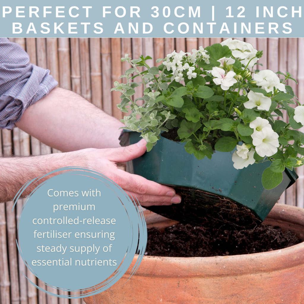 Effortless Chic Speedplanter — Pre-Planted Mixed Annual Display, 7-Plant Set