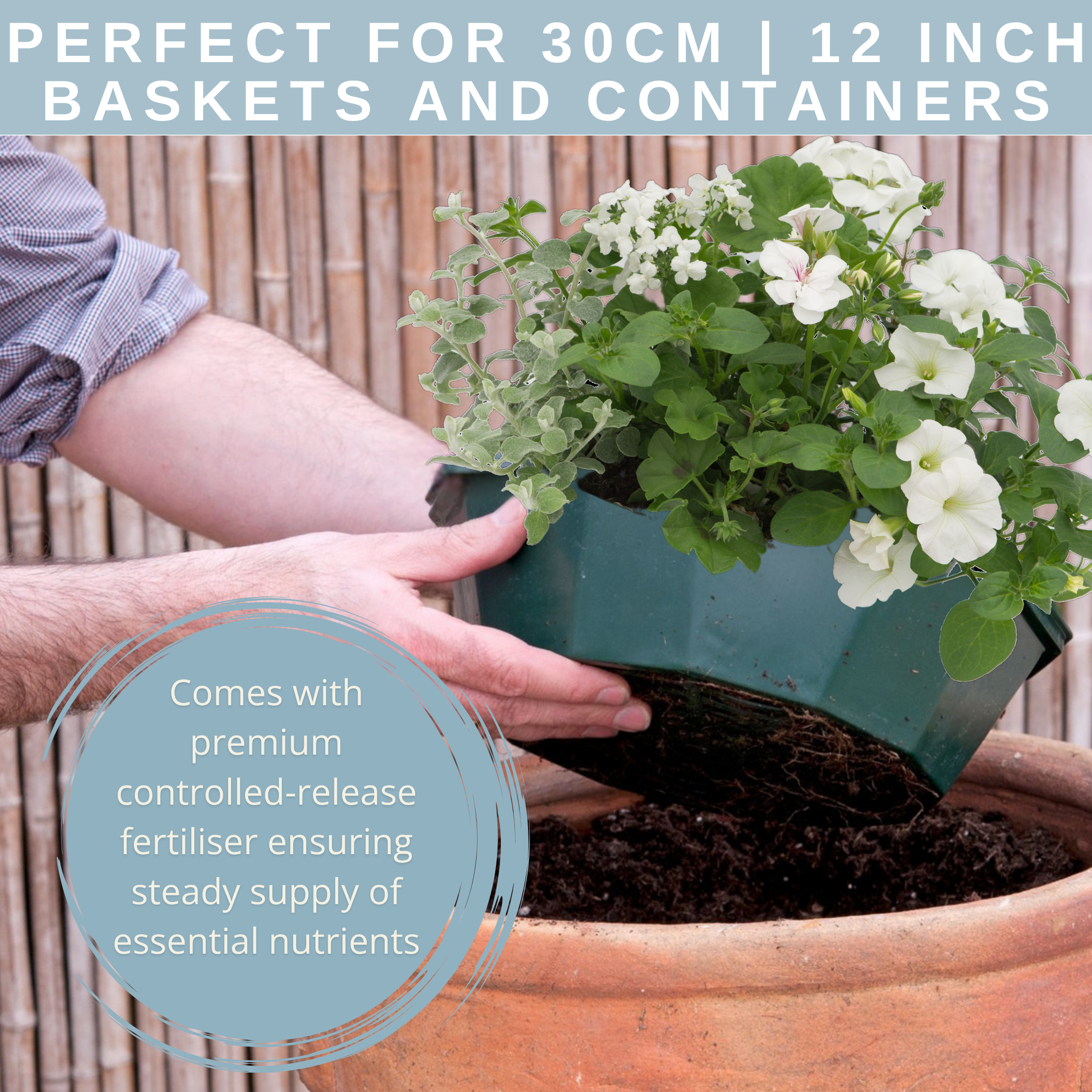 Effortless Chic Speedplanter — Pre-Planted Mixed Annual Display, 7-Plant Set