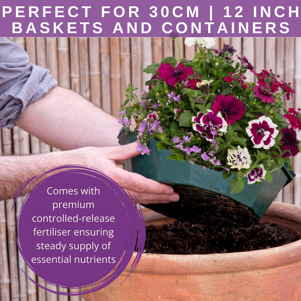 Berry Swirl Speedplanter — Pre-Planted Mixed Annual Display, 7-Plant Set