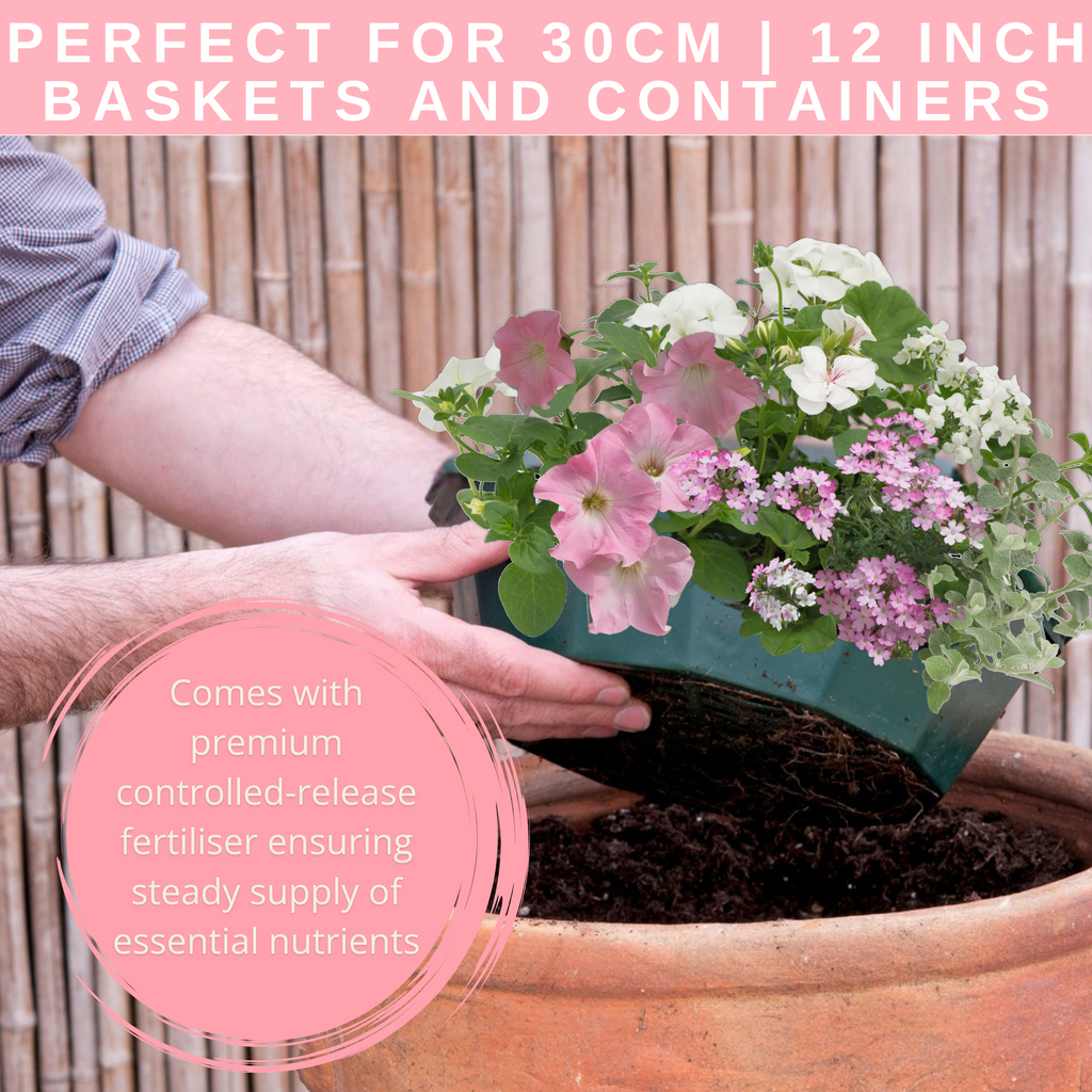 Bridal Bouquet Speedplanter — Pre-Planted Mixed Annual Display, 7-Plant Set