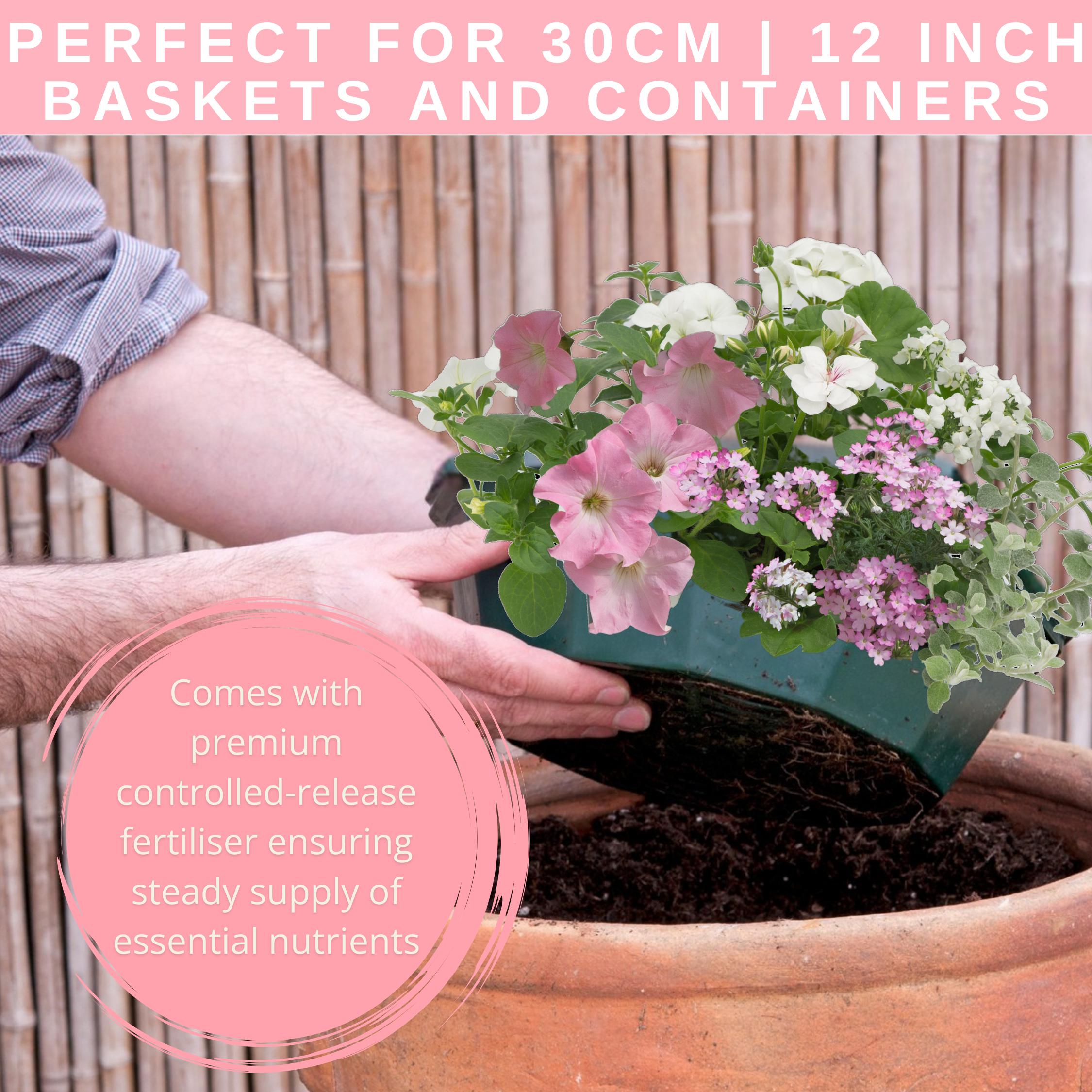 Bridal Bouquet Speedplanter — Pre-Planted Mixed Annual Display, 7-Plant Set