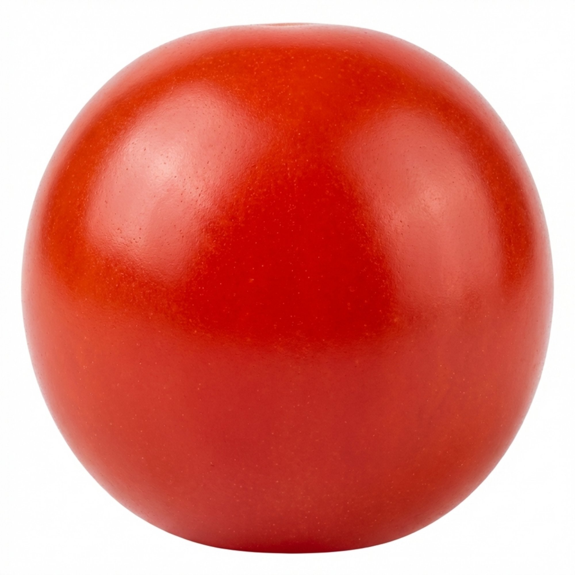 Growers ‘Selection Cherry Tomato Patio’ — Fruit Plant / Tender Annual, 10.5cm Pot (Set of 3 or 6)