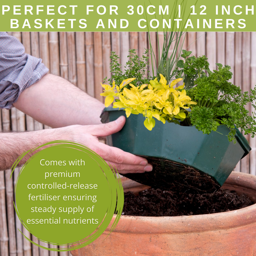 Herb Alfresco Mix Speedplanter — Pre-Planted Culinary Herb Set, 7 Plants