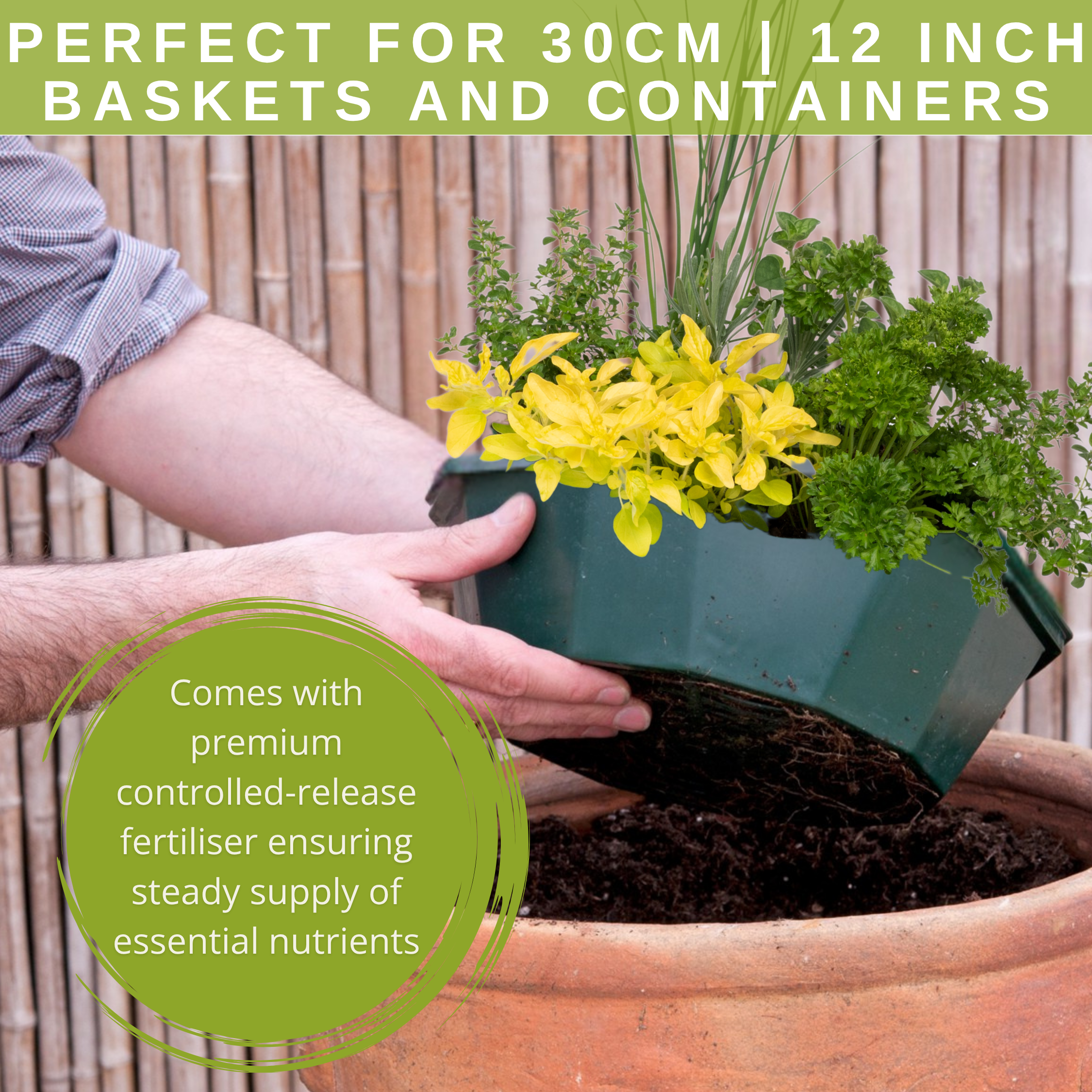 Herb Alfresco Mix Speedplanter — Pre-Planted Culinary Herb Set, 7 Plants