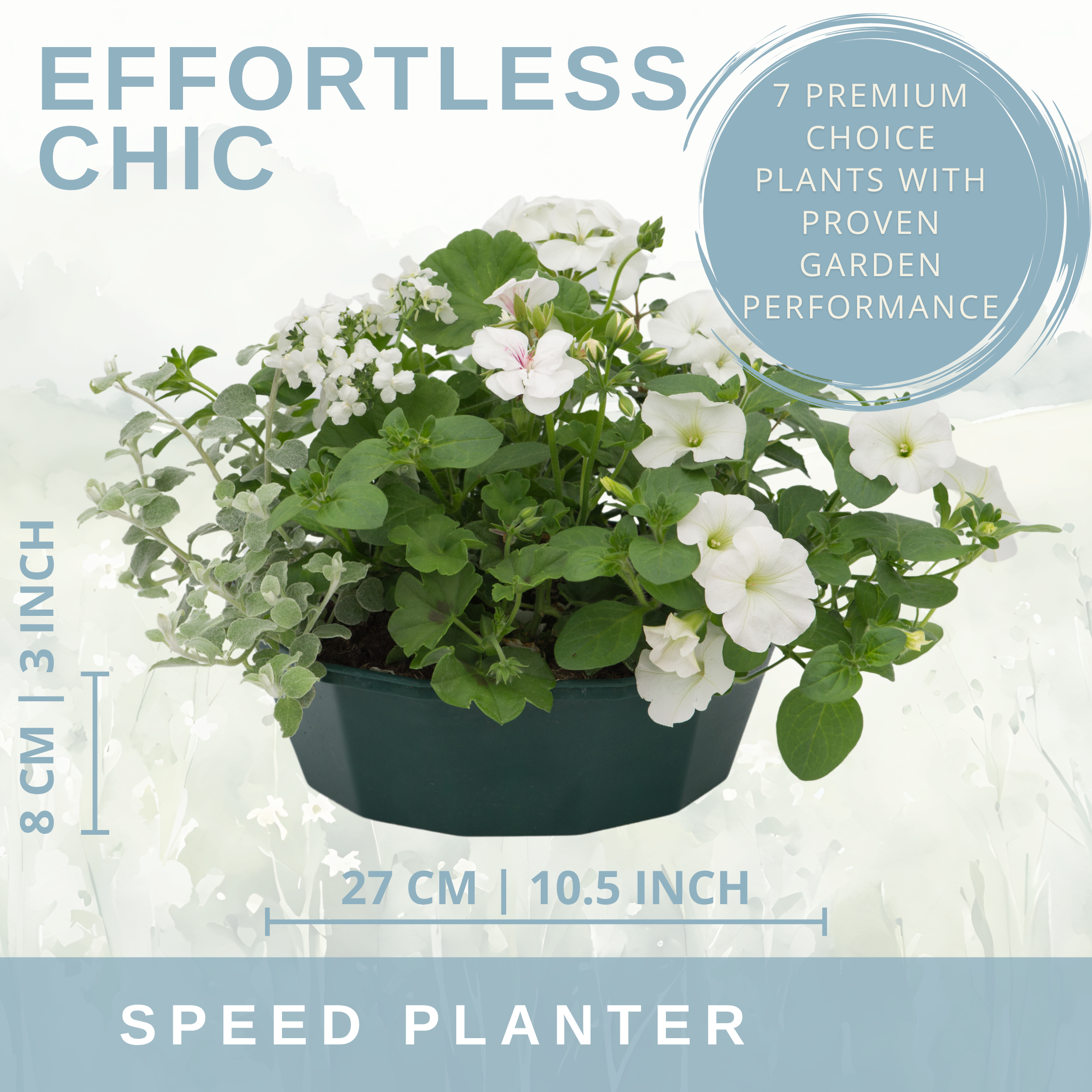 Effortless Chic Speedplanter — Pre-Planted Mixed Annual Display, 7-Plant Set