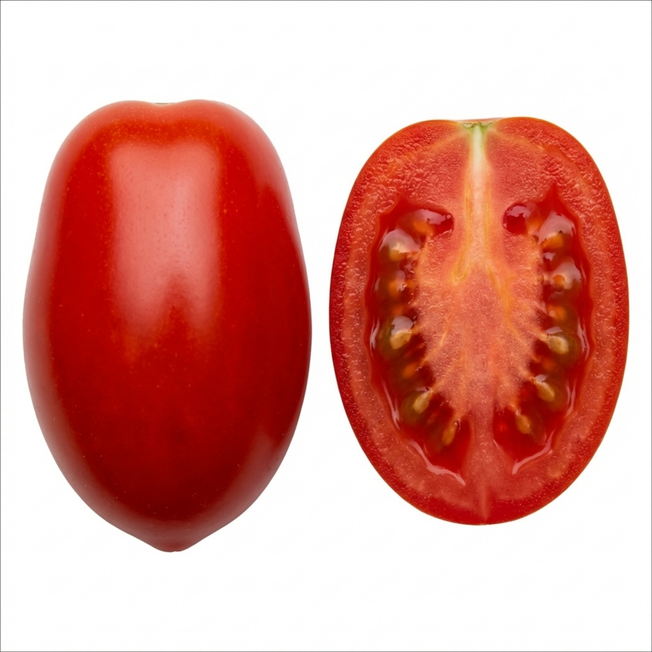 Tomato ‘Trilly Tomato’ — Tender Annual (grafted), 1L Pot (Set of 3 or 6)