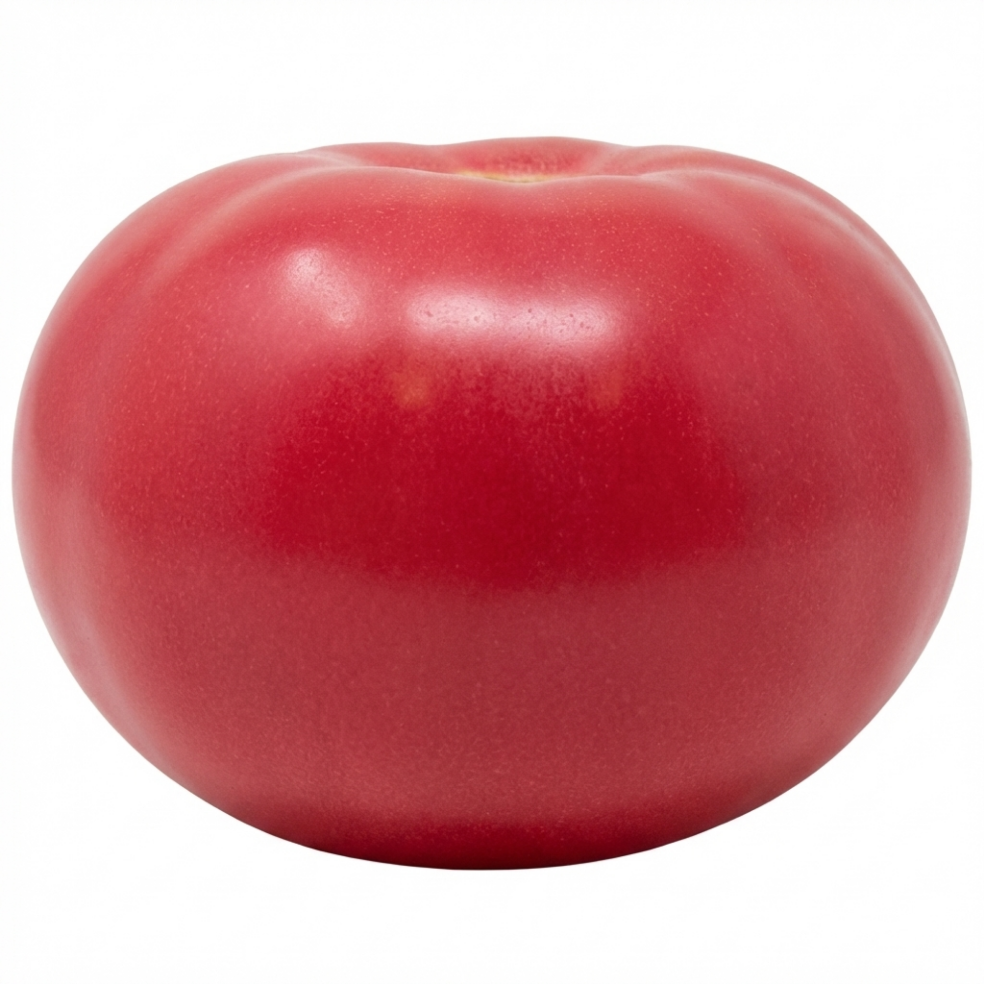 Tomato ‘Rose Crush’ — Fruit Plant / Tender Annual, 10.5cm Pot (Set of 3 or 6)