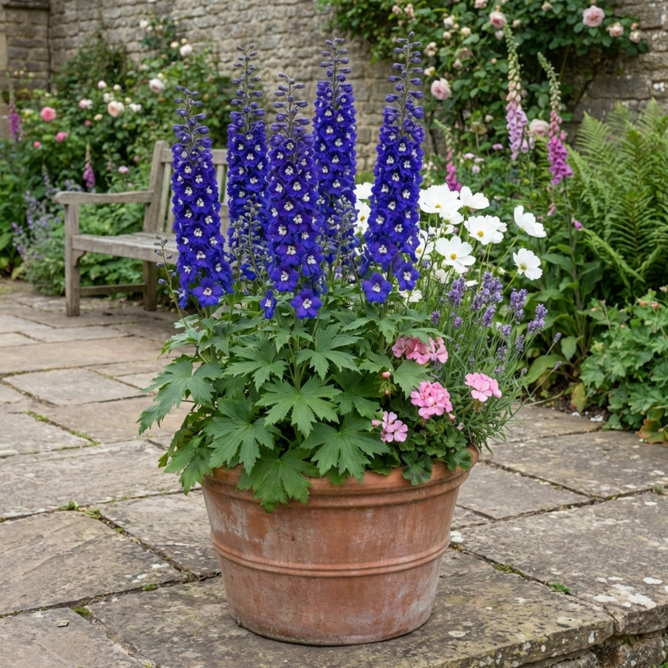 Delphinium ‘Dark Blue White’ — Hardy Perennial, Bee-Friendly, 1L Pot (Set of 3 or 6)