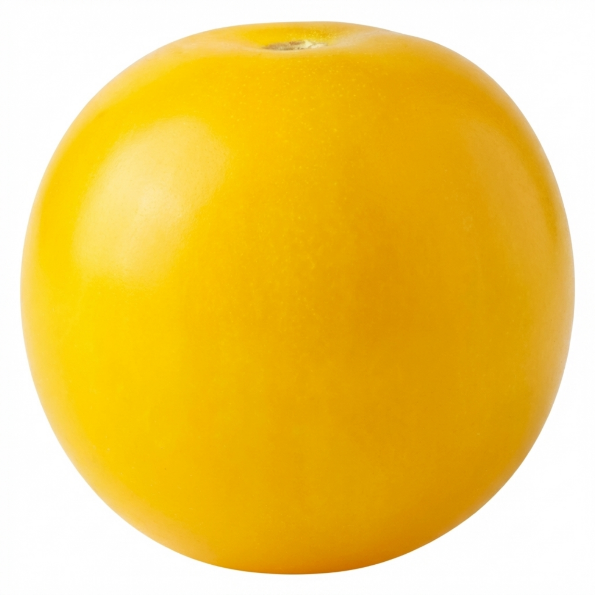 Tomato ‘Lemon Sherbet’ — Fruit Plant / Tender Annual, 10.5cm Pot (Set of 3 or 6)