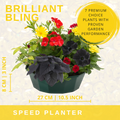 Brilliant Bling Speedplanter — Pre-Planted Mixed Annual Display, 7-Plant Set