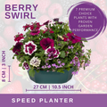 Berry Swirl Speedplanter — Pre-Planted Mixed Annual Display, 7-Plant Set