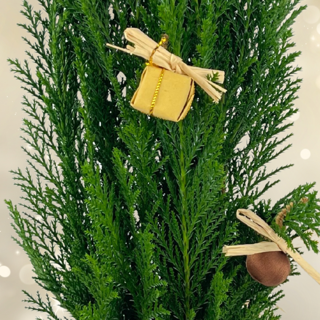 Mini Christmas Tree in Jute Sack with Baubles — Festive Live Conifer, 1L Pot
