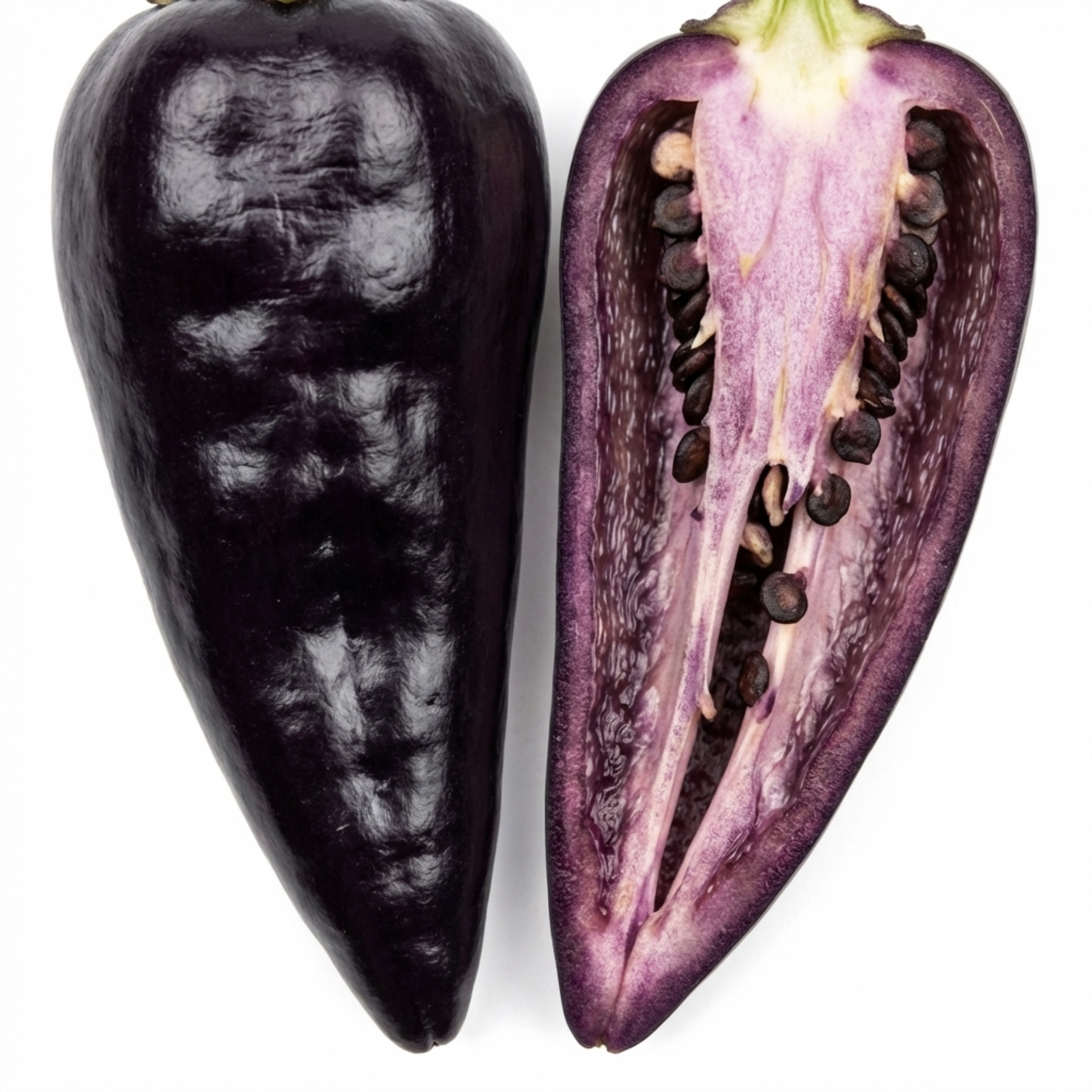 Chilli 'Zimbabwe Black' — Edible Annual, 10.5cm Pot (Set of 3 or 6)