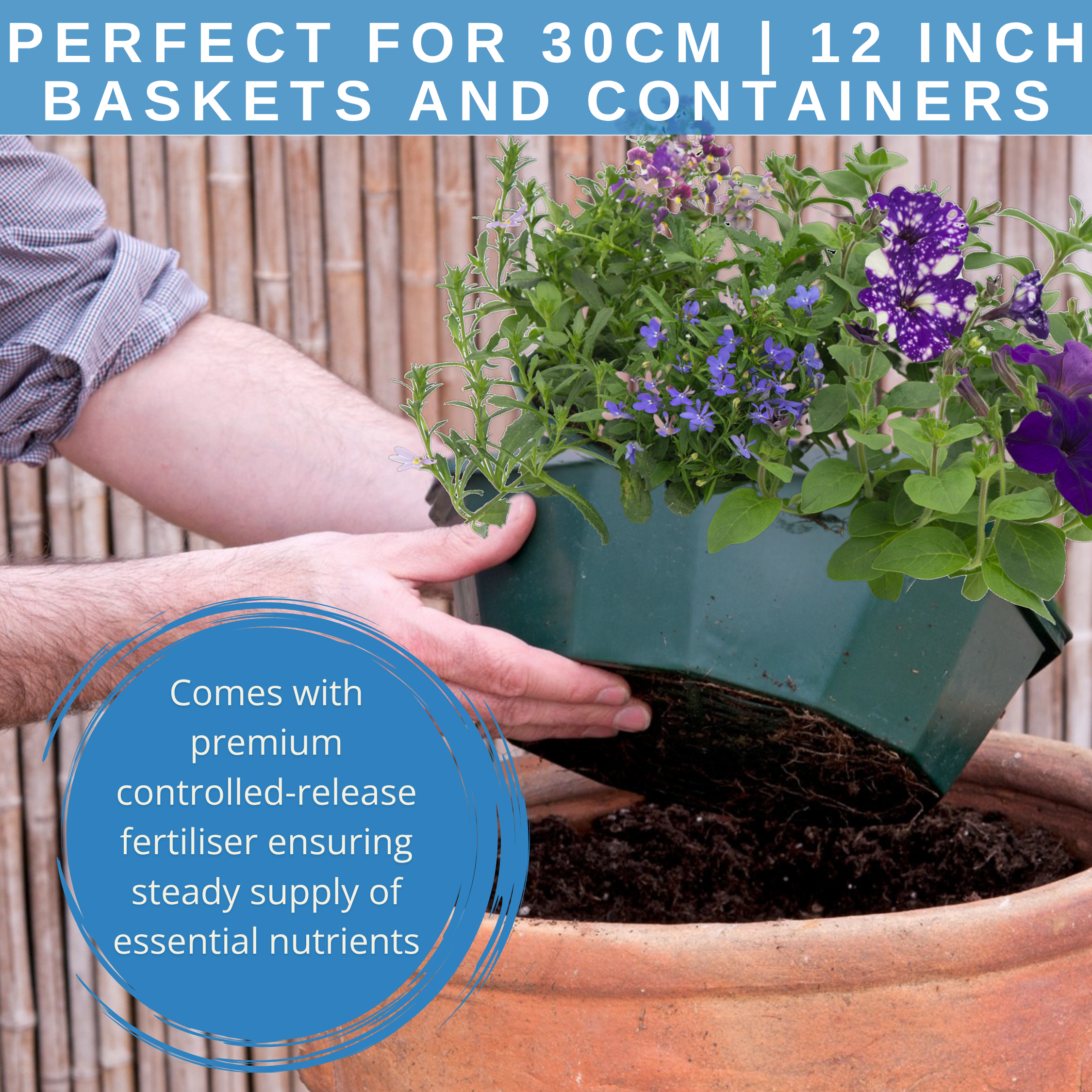 Sea Blues Speedplanter — Pre-Planted Mixed Annual Display, 7-Plant Set