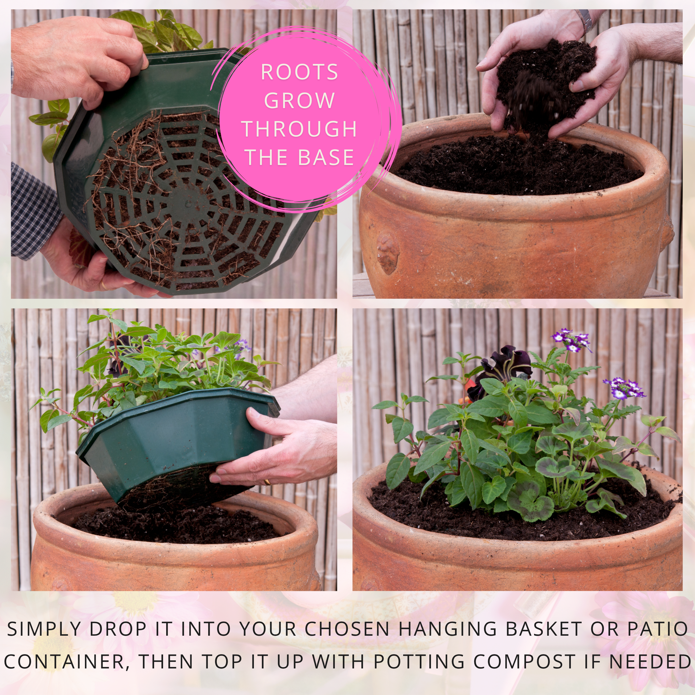 Sophistication Speedplanter — Pre-Planted Mixed Annual Display, 7-Plant Set