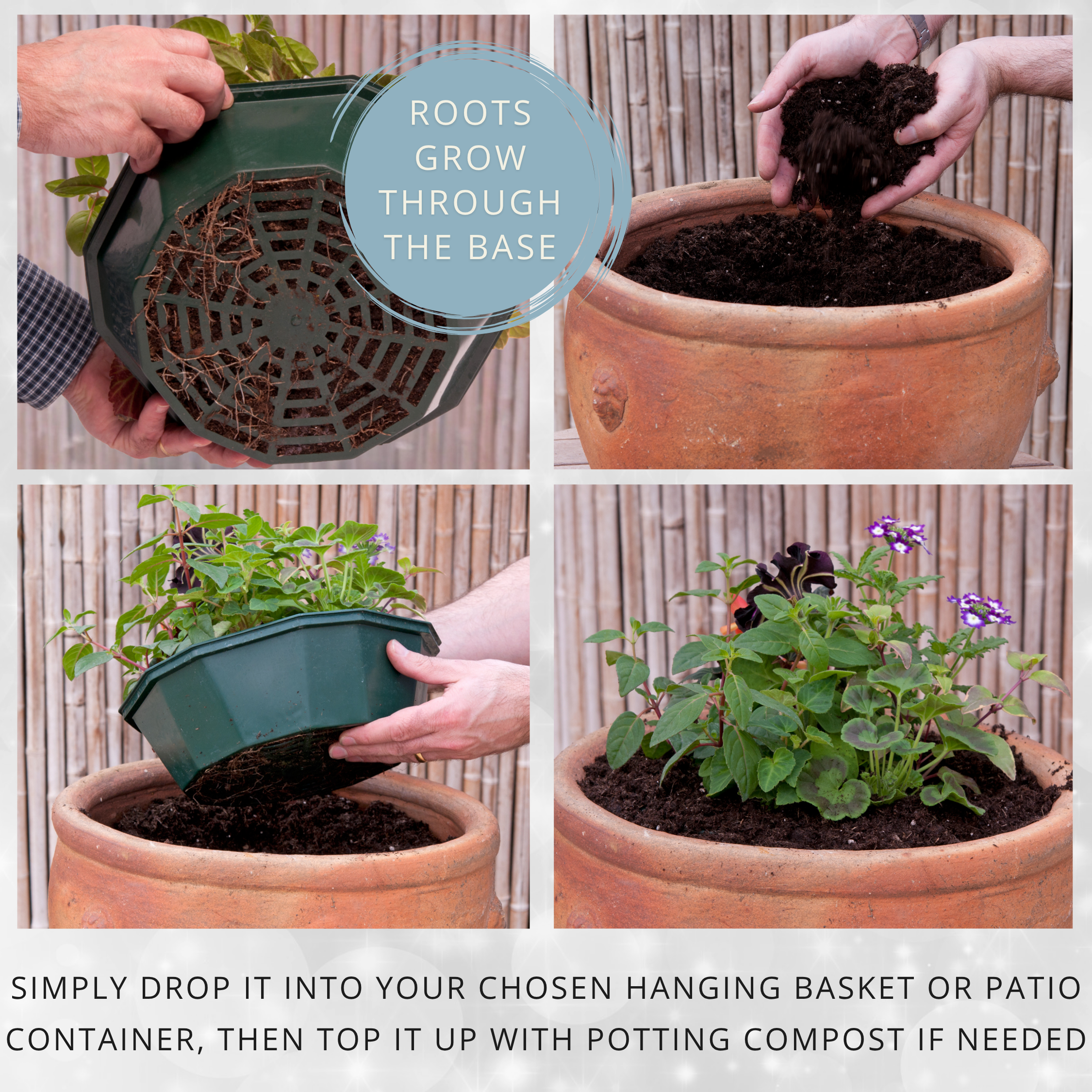 Effortless Chic Speedplanter — Pre-Planted Mixed Annual Display, 7-Plant Set