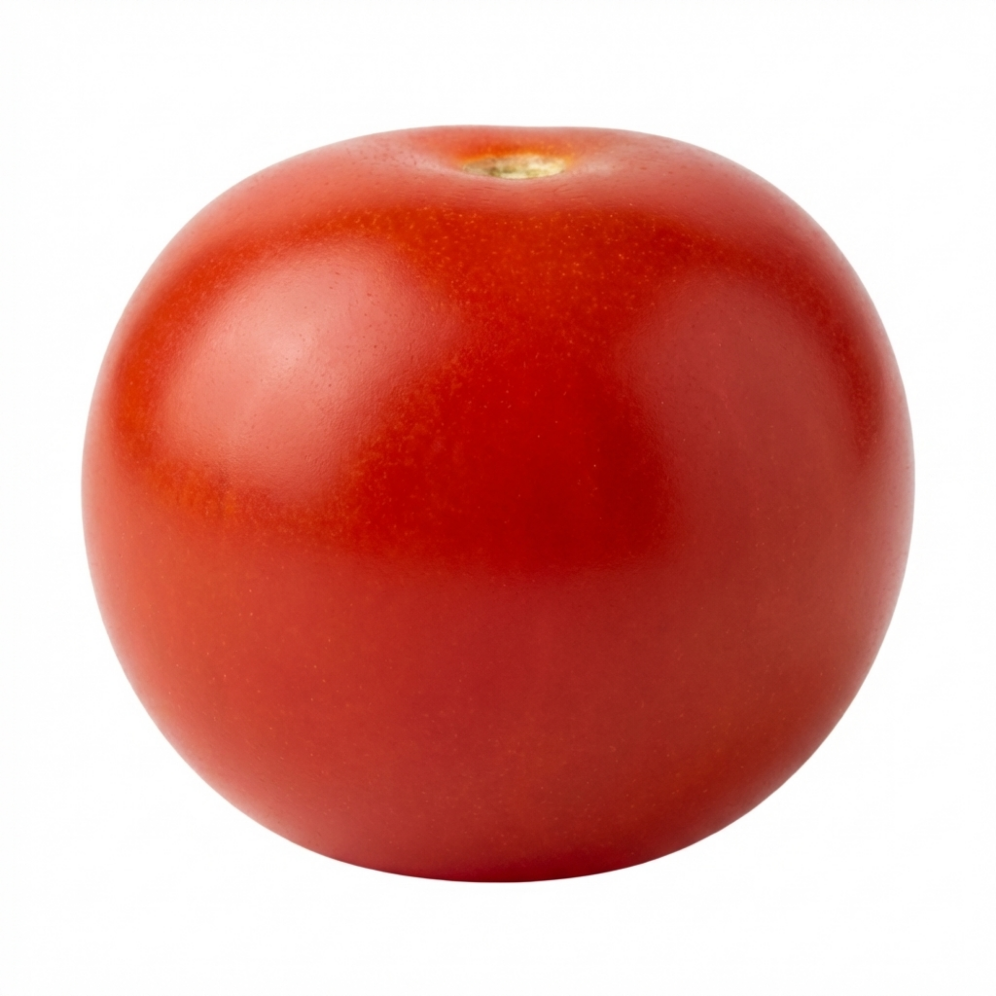 Tomato ‘Tumbling Tom’ — Fruit Plant / Tender Annual, 10.5cm Pot (Set of 3 or 6)