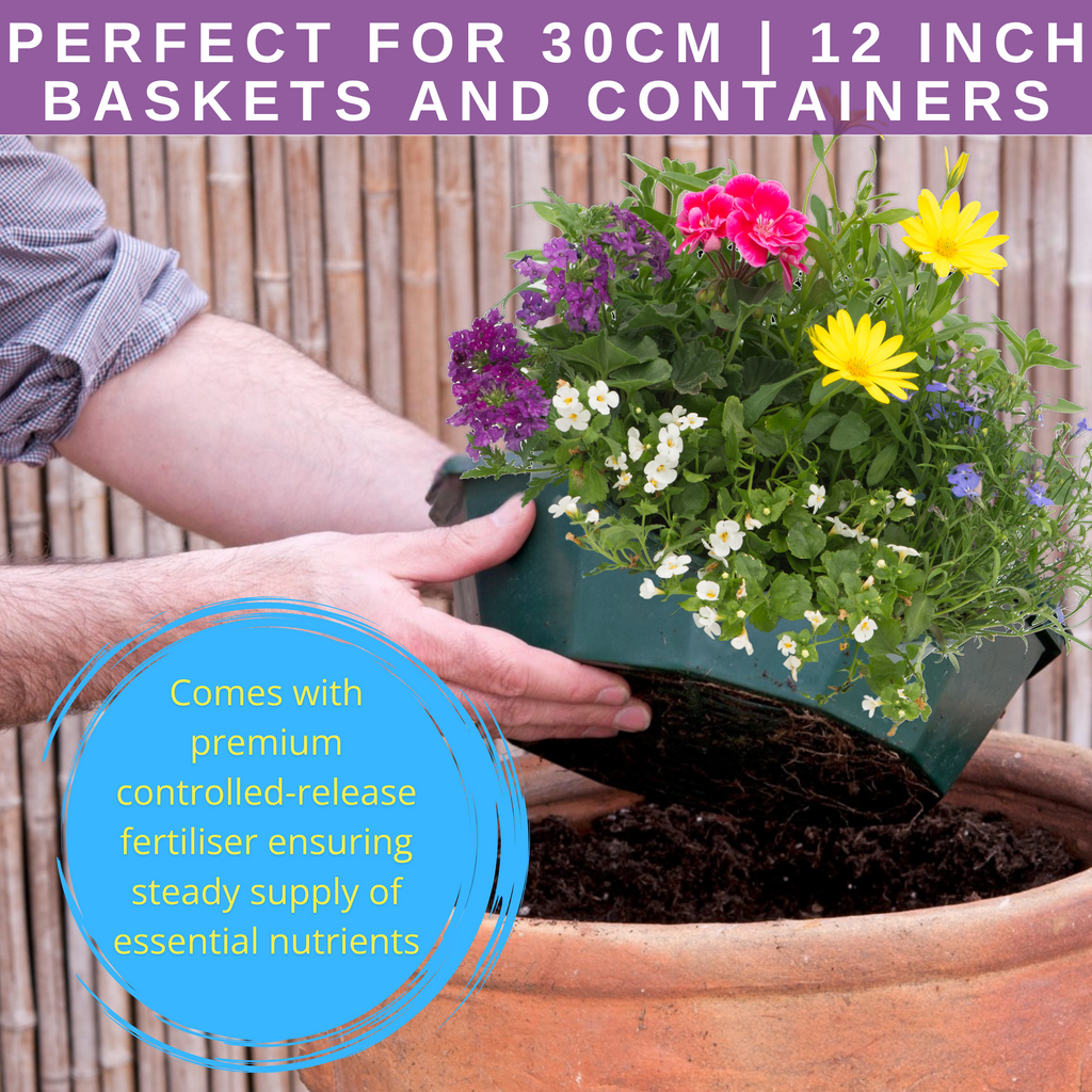 Multicolour Mix Speedplanter — Pre-Planted Mixed Annual Display, 7-Plant Set