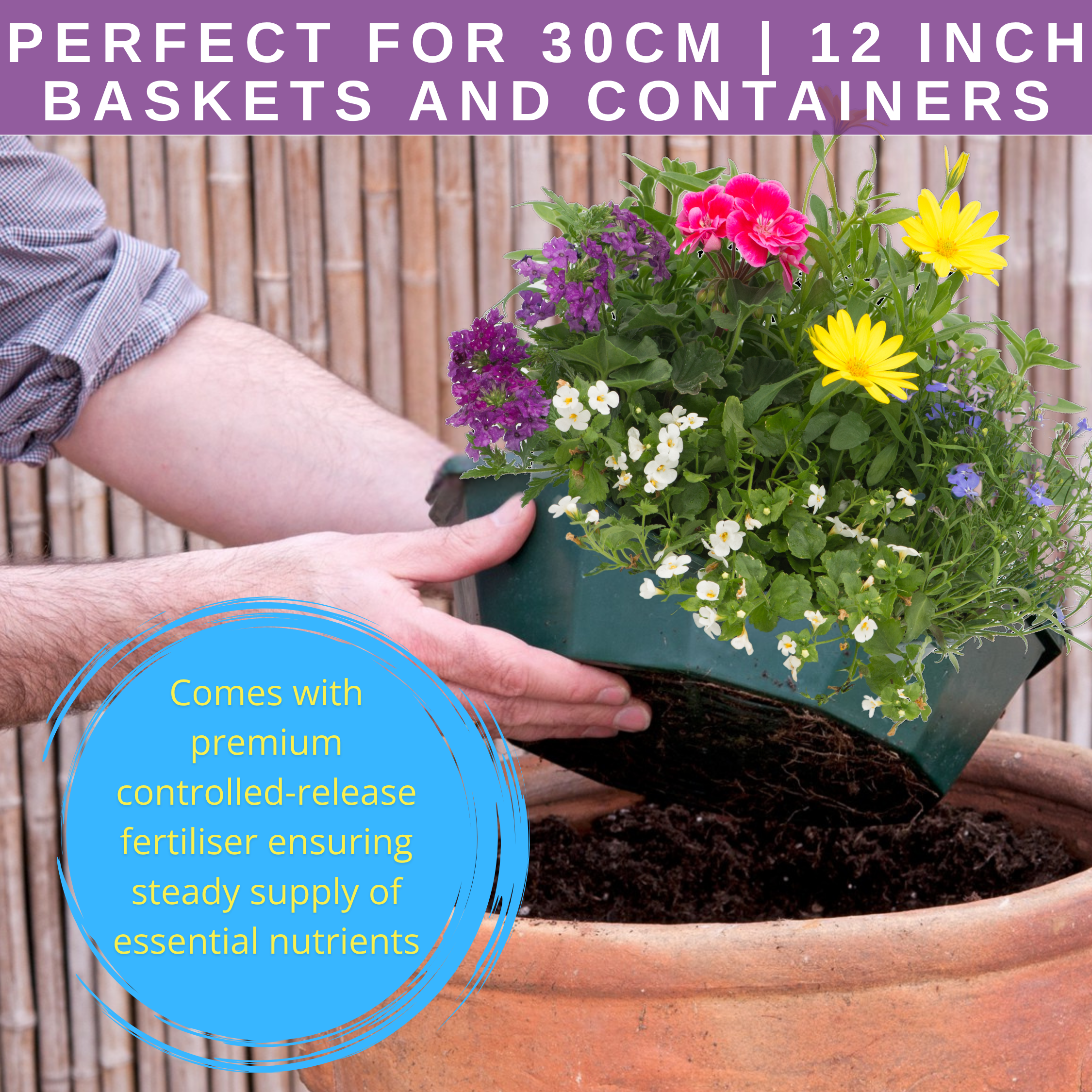 Multicolour Mix Speedplanter — Pre-Planted Mixed Annual Display, 7-Plant Set