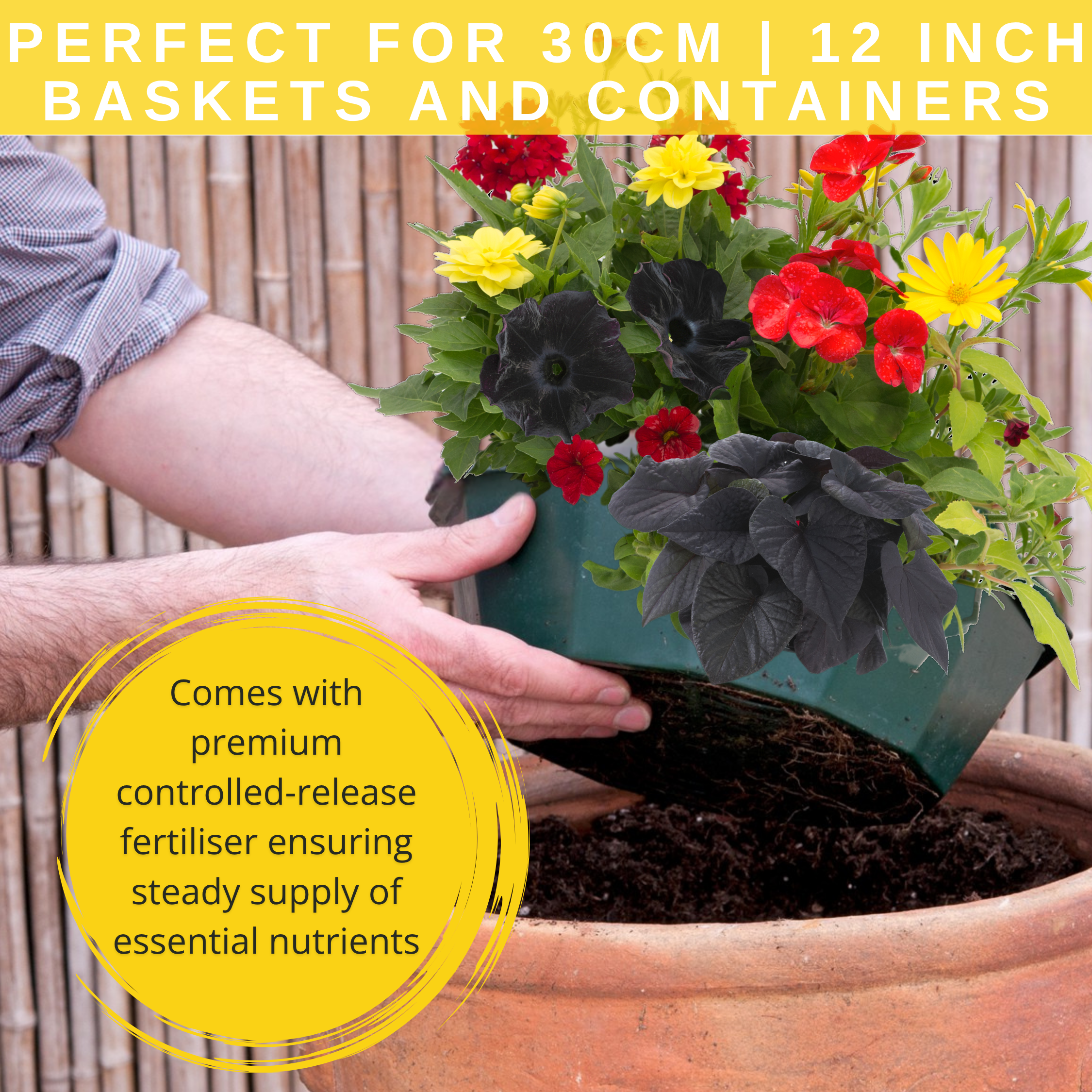 Brilliant Bling Speedplanter — Pre-Planted Mixed Annual Display, 7-Plant Set